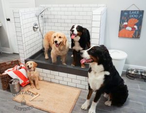 Cachorros no chuveiro de cachorro